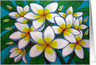 Frangipani, Plumeria Blooms Blank Note card