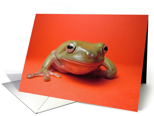 Smiling Frog card (78891)