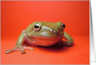 Smiling Frog card