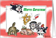 Christmas Kitties card