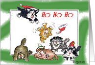 Ho Ho Holidays Cats card