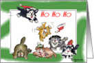 Ho Ho Holidays Cats card