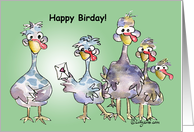 Happy Birday Cartoon Turkeys Fun Birthday Card