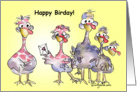 Happy Birday For Her Funny Birthday Card