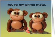 Cute Monkeys Love Card