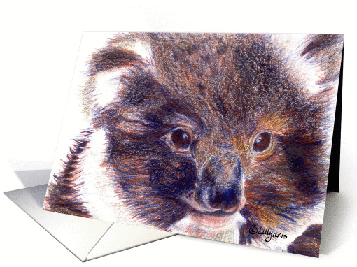 Baby Koala Bear Thank You card (249151)