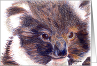 Success Koalafications Card