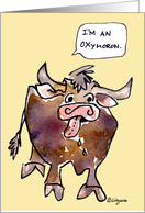 Funny Ox Cartoon Oxymoron Blank card