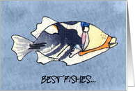 Best Fishes Humunuku...