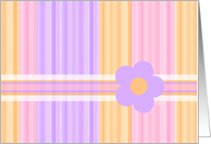 Sherbet Daisy card