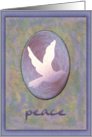 Dove in Blue Peace card