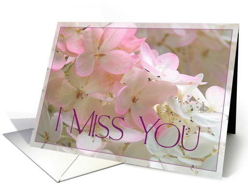 Pink Hydrangeas I Miss You card (108059)