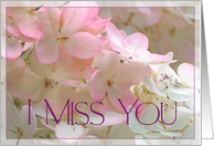 Pink Hydrangeas I Miss You card