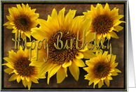 Earthy Sunflowers Happy Birthday card