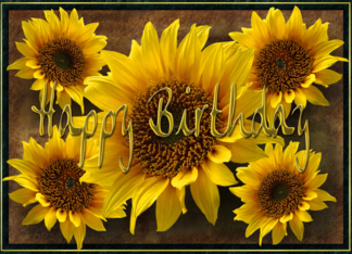 Earthy Sunflowers...
