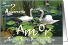 Cisnes Blancos Feliz Aniversario 2 White swans pond happy anniversary card