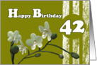 Happy 42 Birthday, Orchid flower White orchids floral on green card