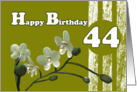 Happy 44 Birthday, Orchid flower White orchids floral on green card