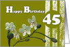 Happy 45 Birthday, Orchid flower White orchids floral on green card