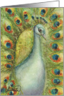 Royal Bird Peacock with Big Eye Expression Blank Any Occasion card