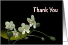 Orchids flower card white orchid botanical floral Thank You card