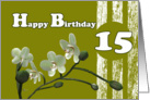 Happy 15th Birthday, White orchids on green card