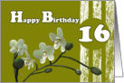 Happy 16th Birthday, White orchids on green card