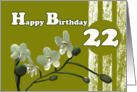 Happy 22nd Birthday, White orchids on green card