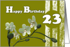 Happy 23rd Birthday, White orchids on green card