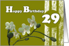 Happy 29th Birthday, White orchids on green card