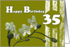 Happy 35th Birthday, White orchids on green card