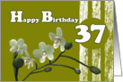 Happy 37th Birthday, White orchids on green card