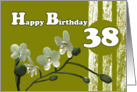 Happy 38th Birthday, White orchids on green card