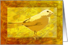 Yellow Bird canary looking up bright yellow blank card