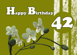 Happy 42 Birthday,...