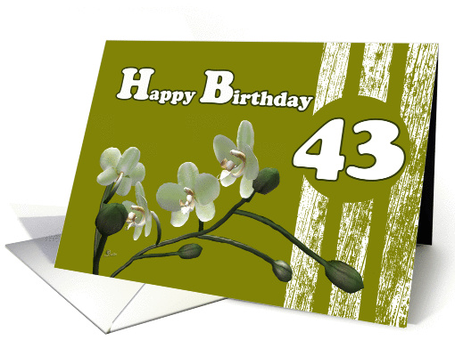 Happy 43 Birthday, Orchid flower White orchids floral on green card