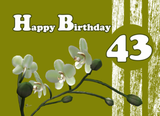 Happy 43 Birthday,...