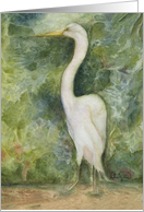 White Egret Bird Standing in Jungle Blank card