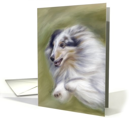 Sheltie dog  jumping blank greeting card Blue Merle Sheltie Dog card