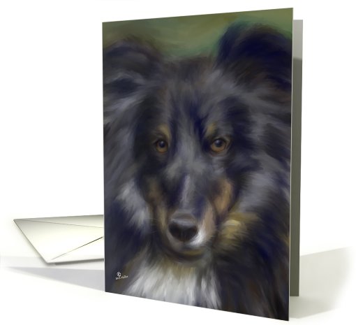 Sheltie dog cute doggy face blank greeting card tricolor... (427801)