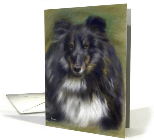 Sheltie dog  pedigree blank greeting card tricolor Sheltie Dog card