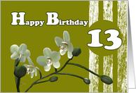 Happy 13th Birthday,...