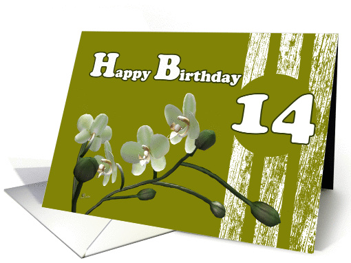 Happy 14th Birthday, White orchids flowers on green birthday card
