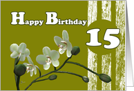 Happy 15th Birthday,...
