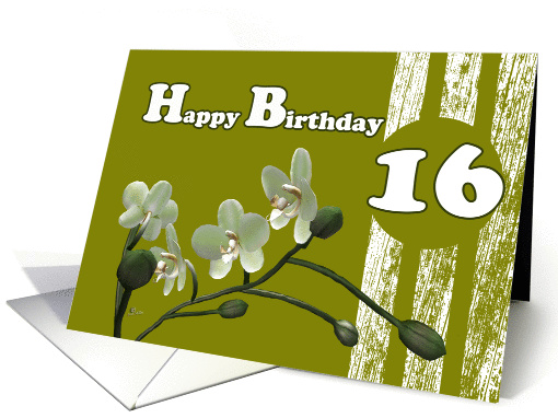 Happy 16th Birthday, White orchids on green card (975099)