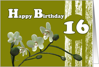 Happy 16th Birthday, White orchids on green card