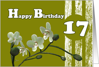 Happy 17th Birthday, White orchids on green card