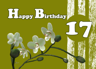 Happy 17th Birthday,...