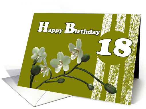 Happy 18th Birthday, White orchids on green card (975103)