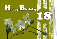 Happy 18th Birthday, White orchids on green card